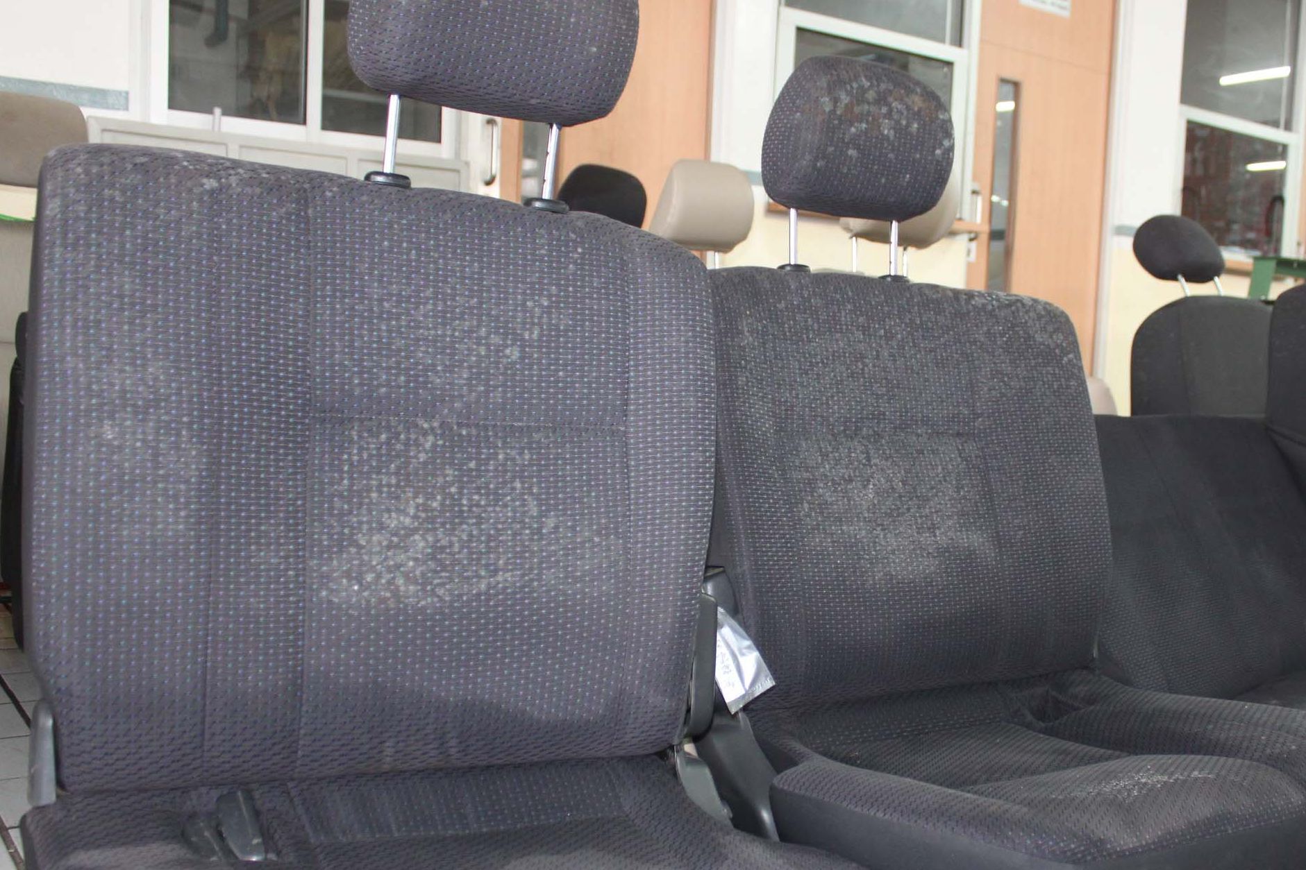 Attachment for Pelajari Cara Hapus Jamur di Jok Mobil & Simpan Rahasia Perawatannya