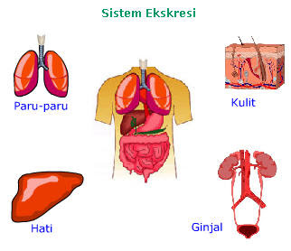 y71hZUahMDYoEl7hRgswAM6SfPx2IpJ7ZXKruqJGCw4_dVsT6ZI97sdvbwrsoJeNabkoyqZFGmoIIiHtUiY7tKAEqlvl4Smq2jud-FZKbTQlPaDVg27ekJydCitr0Q=s0-d